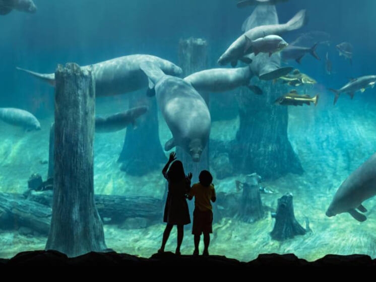 explore-attractions